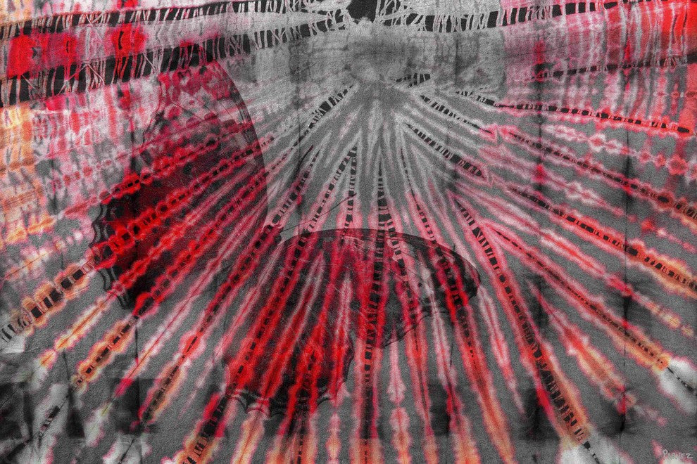 "Butterfly Webbed" Print on Canvas, 45"x30"
