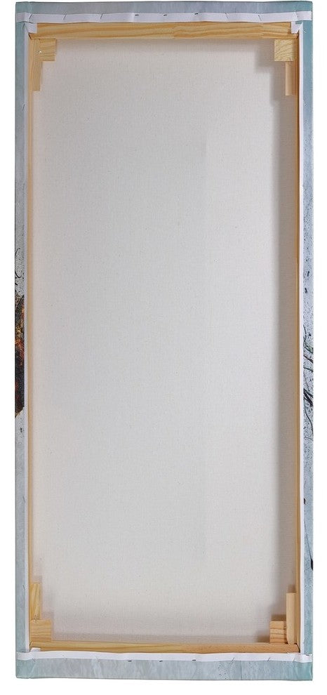 Epic Graffiti "Jaipur IX" Giclee Canvas Wall Art, 12"x24"