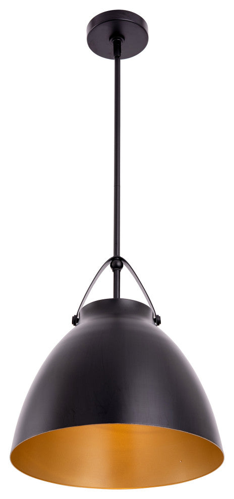 Modern 1-Light Black Metal Pendant Light