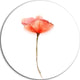 Watercolor Red Poppy Flower, Flower Large Disc Metal Wall Art, 23"