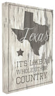 Texas, a Whole Other Country, 30"x40", Stretched Canvas Wall Art