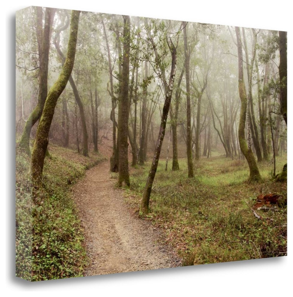 "Oak Tree - 21" By Alan Blaustein, Giclee Print on Gallery Wrap Canvas