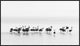 "Flamingos" Framed Canvas Giclee by Joan Gil Raga, 41x23"
