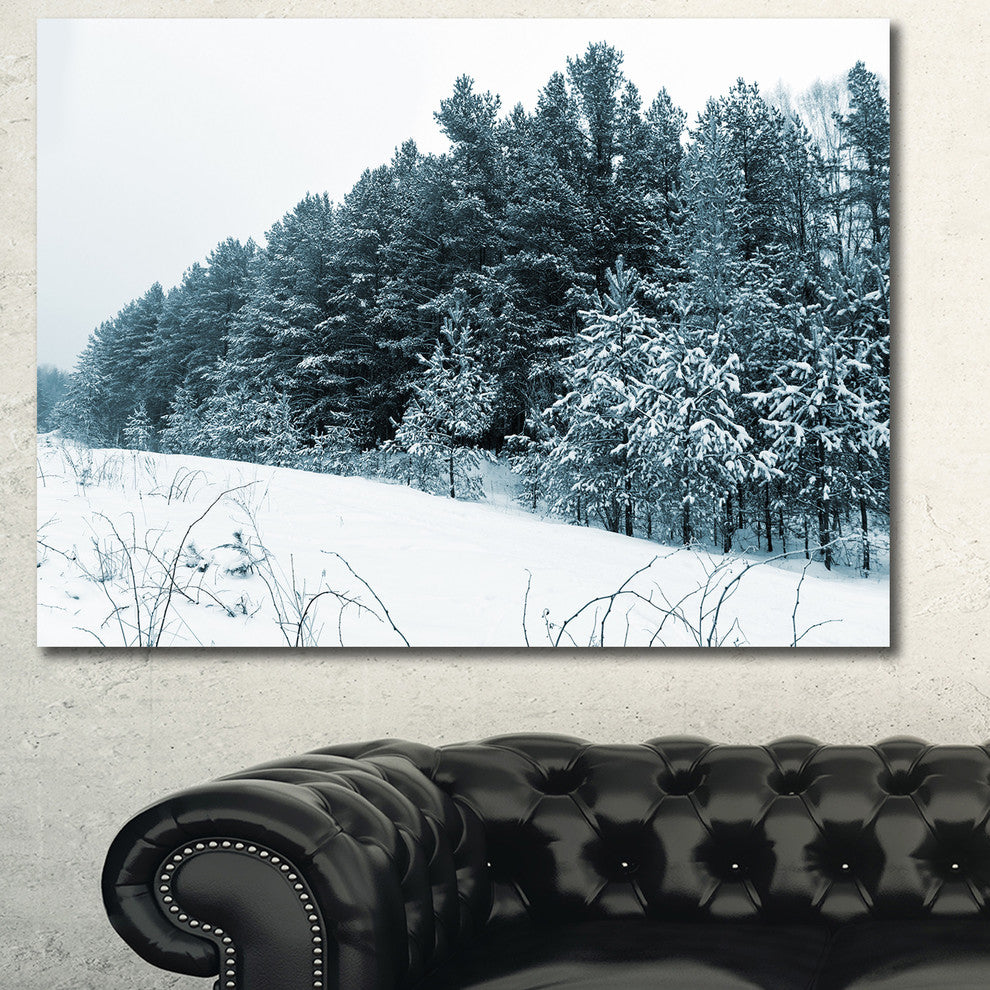 Dark Winter Trees, Landscape Canvas Art Print, 40"x30"