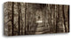 "Hampton Gates Promenade - 2" By Alan Blaustein, Giclee on Gallery Wrap Canvas