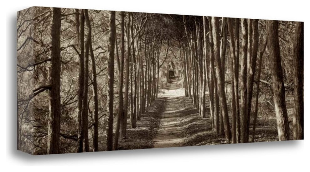 "Hampton Gates Promenade - 2" By Alan Blaustein, Giclee on Gallery Wrap Canvas