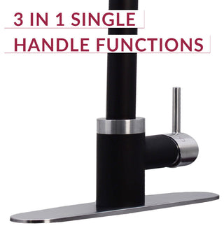 HotMaster 3, 1 Instant Hot Kitchen Faucet With Tank, Black/SS