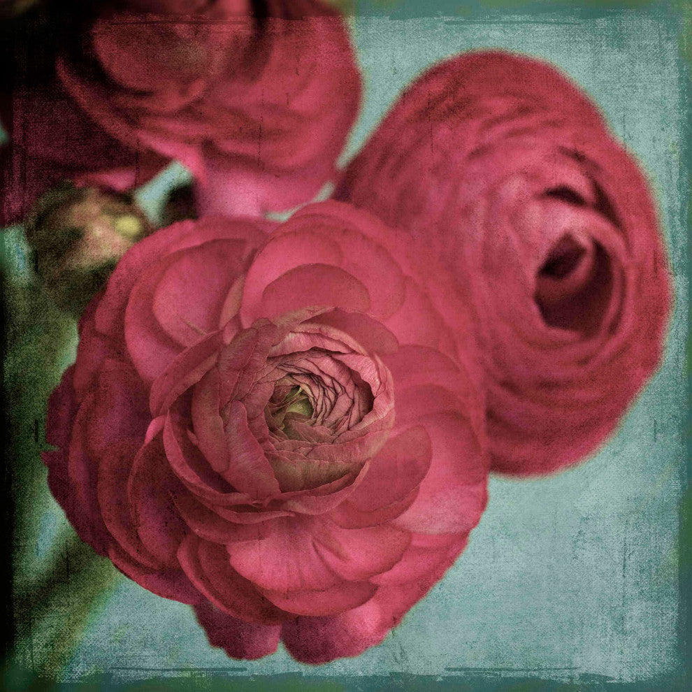 "Red Ranunculus" Painting Print on Canvas by Stalus