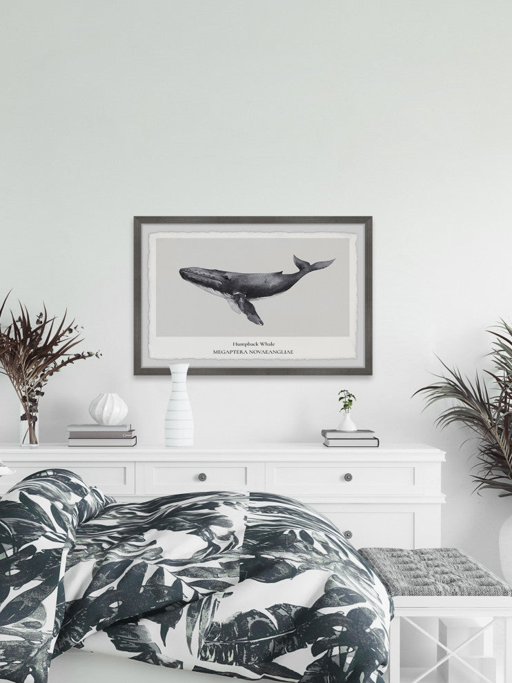 "Megaptera Novaeangliae" Framed Painting Print, 12x8