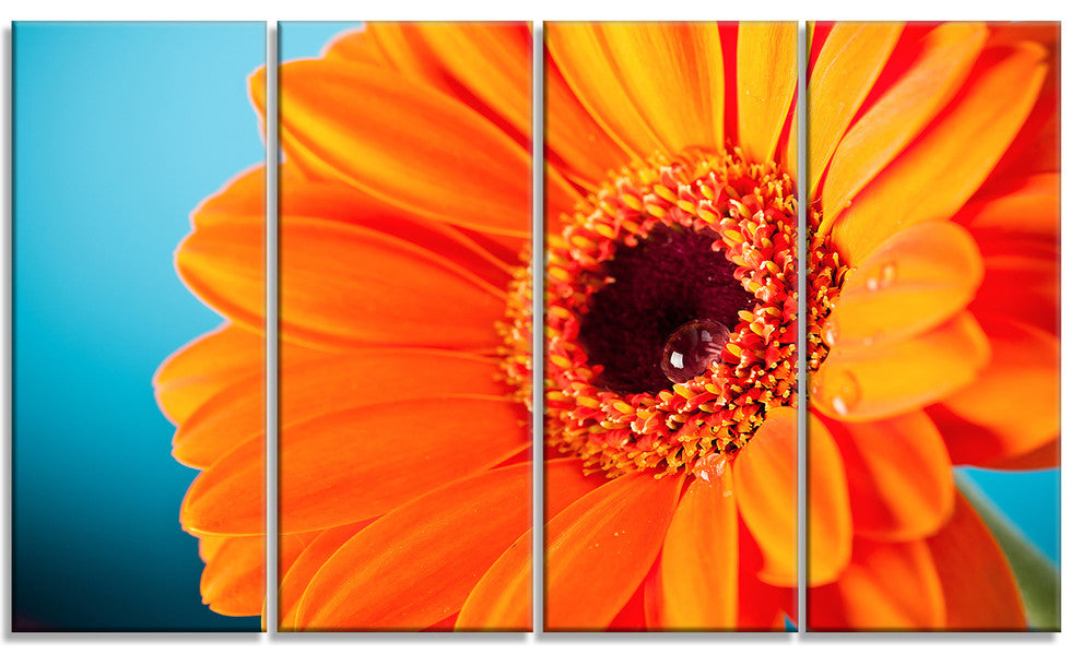 Orange Daisy Gerbera Flower Close up, Flowers Canvas Artwork, 48"x28", 4 Panels