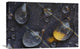 "Water Drops On A Leaf, Goldenstedt, Lower Saxony, Germany" Artwork, 24" x 16"