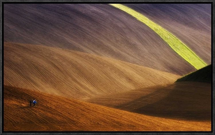"Running Free" Framed Canvas Giclee by Piotr (Bax) Krol, 23x14"