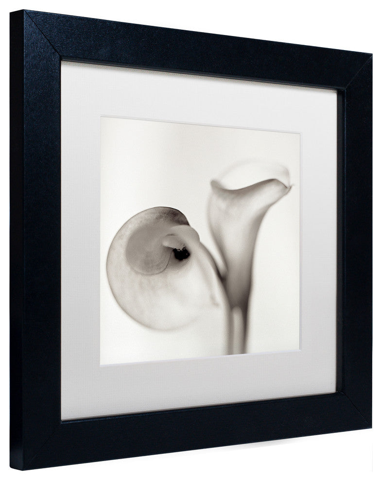 Alan Blaustein ''Florison 35'' Art, Black Frame, White Mat, 11x11