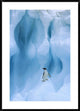 Adelie Penguin On Iceberg, South Shetland Islands, Antarctic Peninsula, 30"x42"