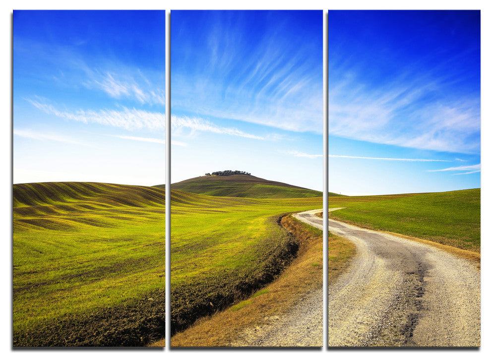 "Rural Road and Olive Trees Uphill" Wall Art, 3 Panels, 36"x28"