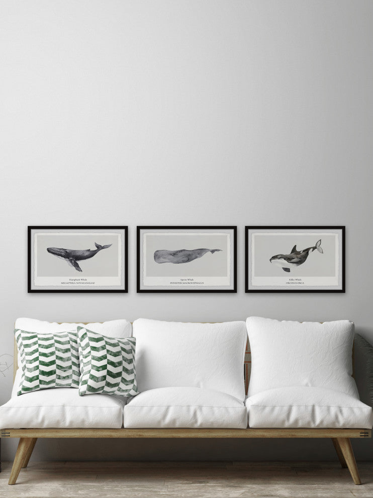 Sperm and Killer Whale Triptych, 3-Piece Set, 45x30 Panels
