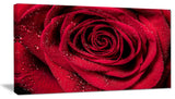 "Red Rose Petals With Rain Droplets" Canvas Print, 40"x20"