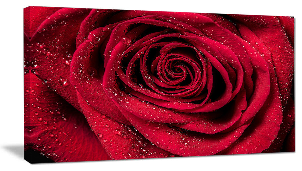 "Red Rose Petals With Rain Droplets" Canvas Print, 40"x20"