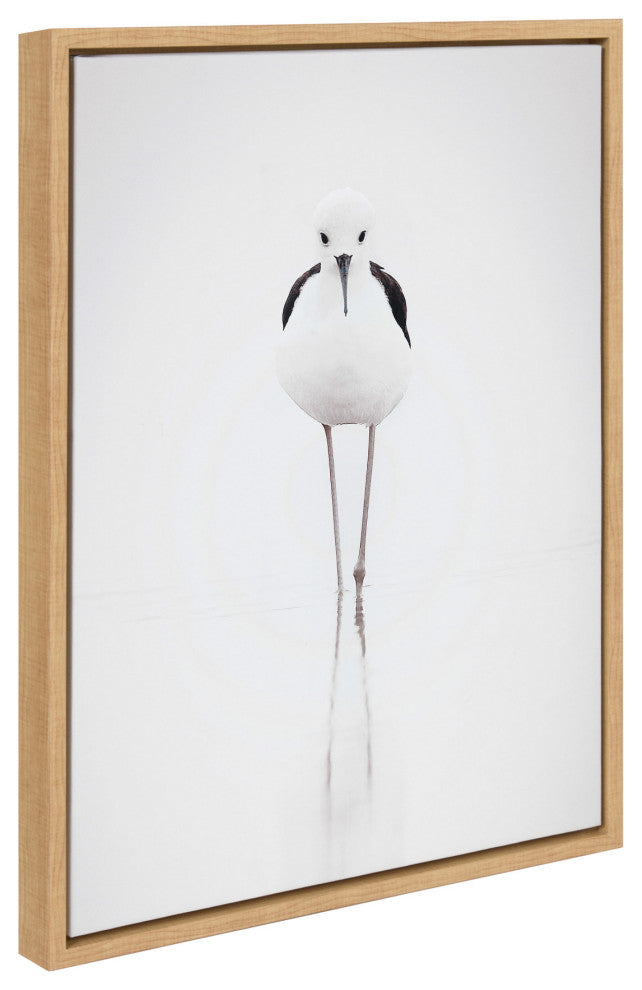 Sylvie Seagull Framed Canvas by Tai Prints, Natural 18x24