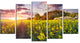 Fantastic Yellow Field at Sunset, Landscape Canvas Print, 60"x32", 5 Panels