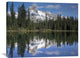 "Wiwaxy Peaks And Cathedral Mountain, British Columbia, Canada" Artwork