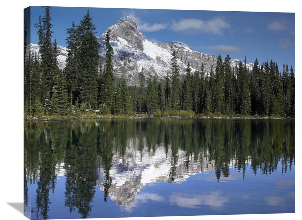"Wiwaxy Peaks And Cathedral Mountain, British Columbia, Canada" Artwork