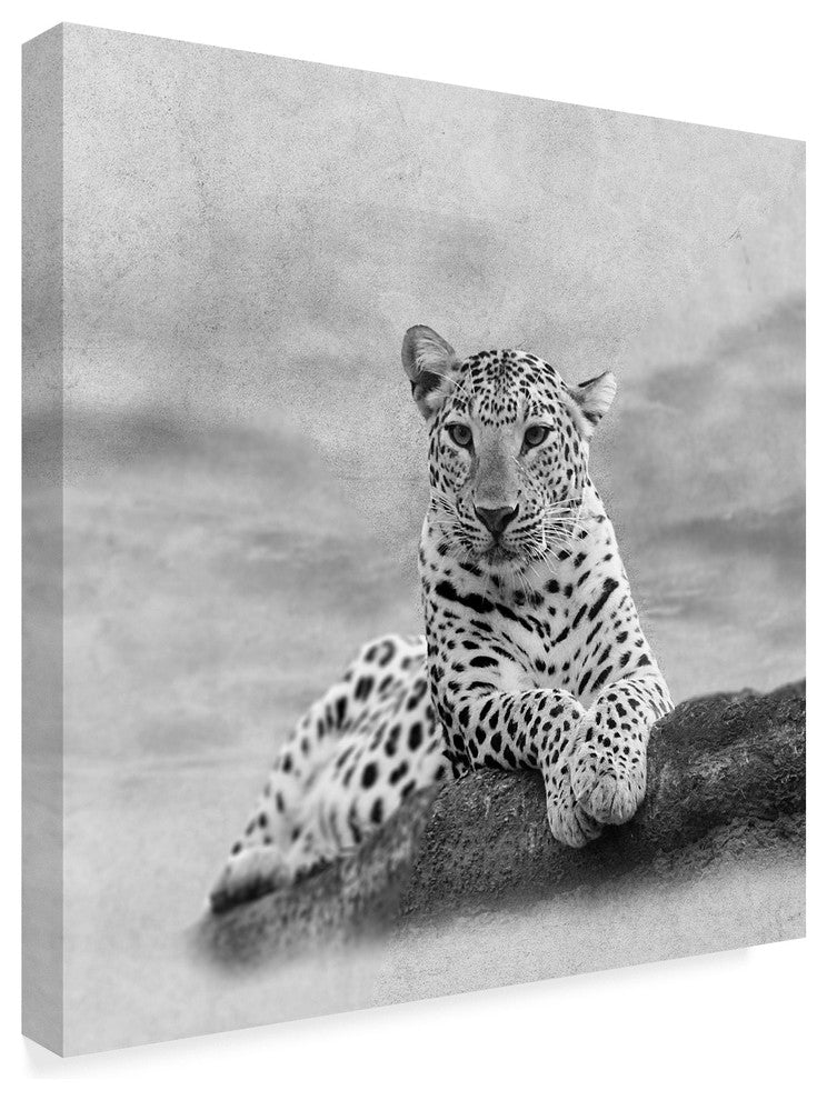 "The Leopard 2A2" by Ata Alishahi, Canvas Art, 24"x24"