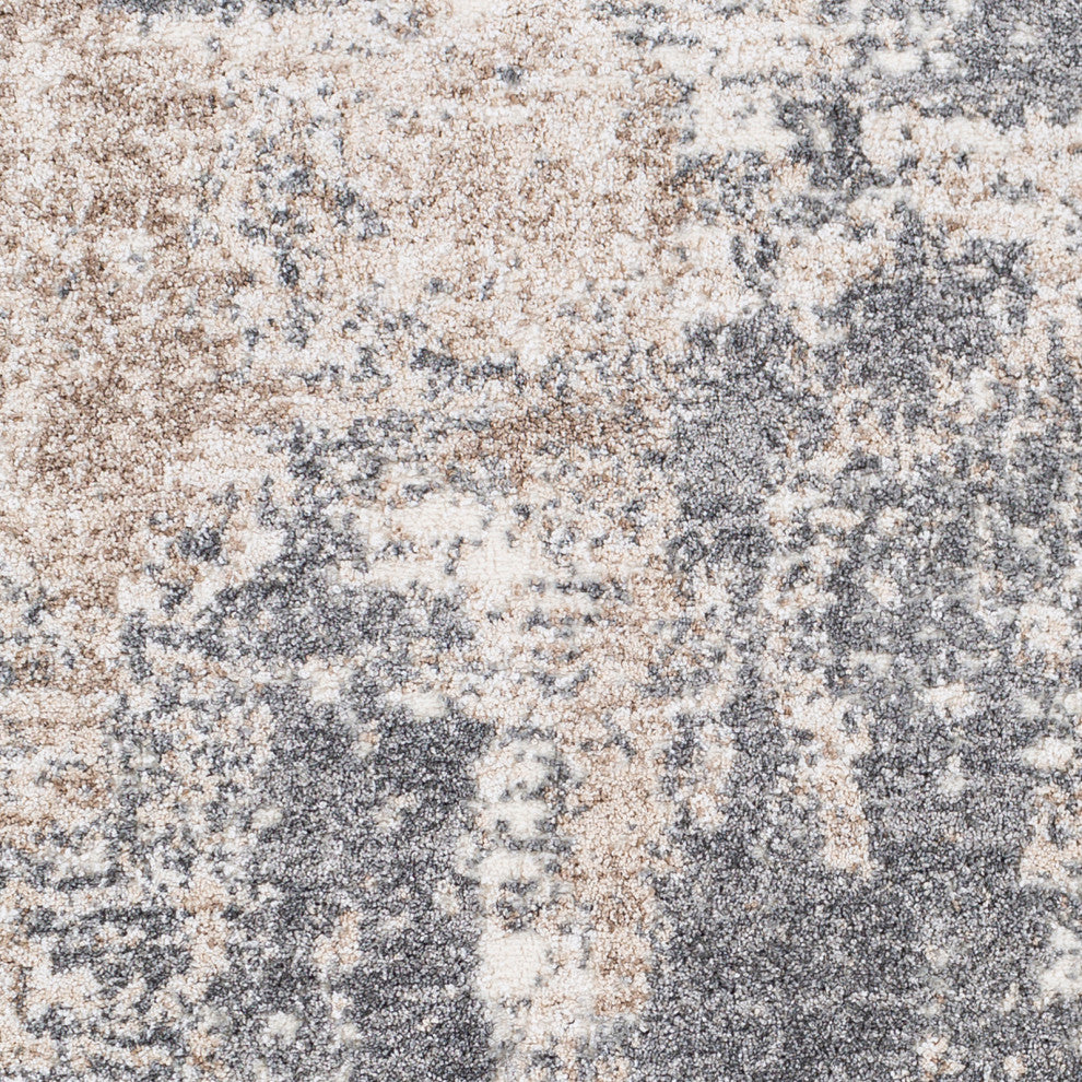 Andorra ARD-2302 Rug, Charcoal, 5'3"x7'3"