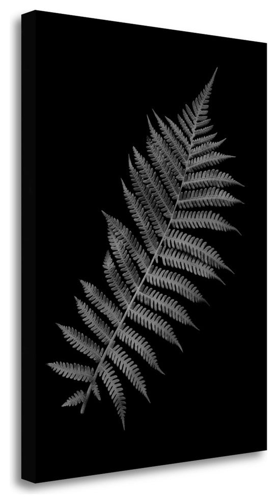 "Floral B - W - 18" By Alan Blaustein, Giclee Print on Gallery Wrap Canvas