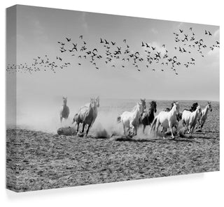 "Wild Horses" by Ata Alishahi, Canvas Art