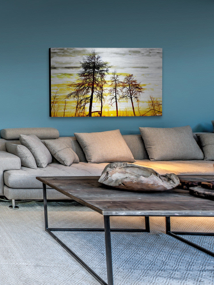 "Trees Against Gold Sky" Print on Brushed Aluminum, 36"x24"