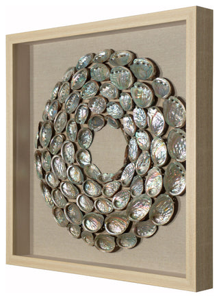 Abalone Shell Rings Shadow Box Wall DÃ©cor