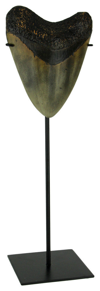 Mounted Giant Megalodon Shark Tooth Fossil Sculpture