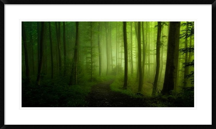 "Spring Promise" Framed Digital Print by Norbert Maier, 38x23"