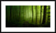 "Spring Promise" Framed Digital Print by Norbert Maier, 38x23"