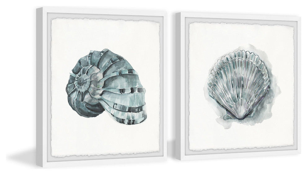 Classy Shell II Diptych, 64"x32"