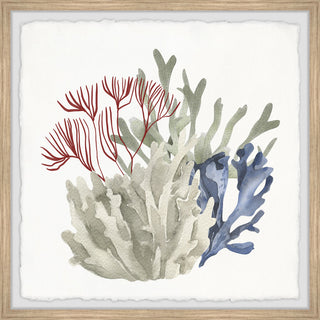 "Seaweed Bloom" Framed Painting Print, 24x24
