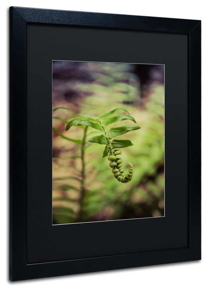 PIPA Fine Art 'Growth of the Forest Floor' Matted Framed Art, 20x16