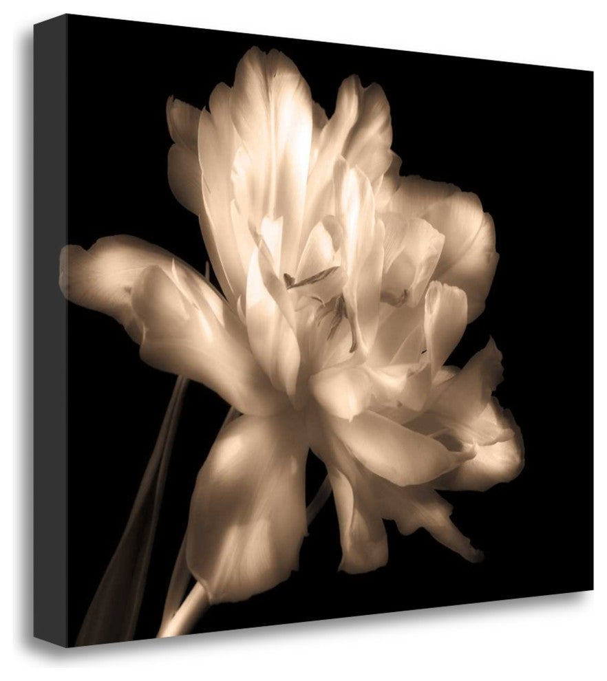 "Double Dappled II" By Charles Britt, Giclee Print on Gallery Wrap Canvas