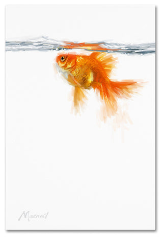 The Macneil Studio 'Goldfish' Canvas Art, 32"x22"