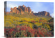 "Chuparosa And Brittlebush Superstition Mountains, Arizona" Artwork, 16" x 12"