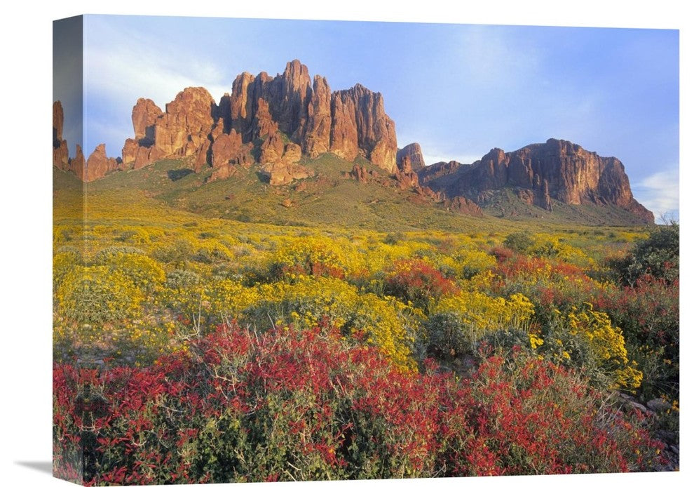 "Chuparosa And Brittlebush Superstition Mountains, Arizona" Artwork, 16" x 12"