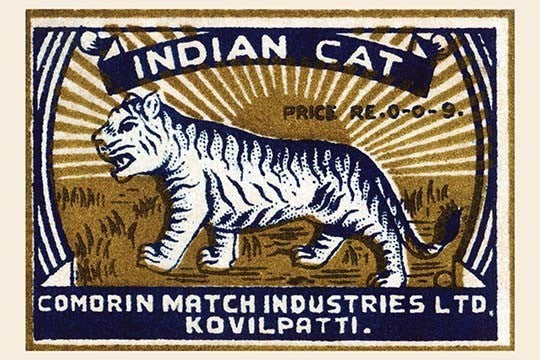 Indian Cat- Gallery Wrapped Canvas Art 28" x 42"
