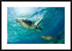 "Contact" Framed Digital Print by Andrey Narchuk, 38x27"