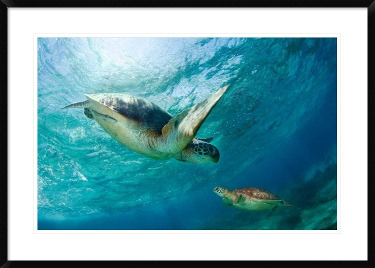 "Contact" Framed Digital Print by Andrey Narchuk, 38x27"
