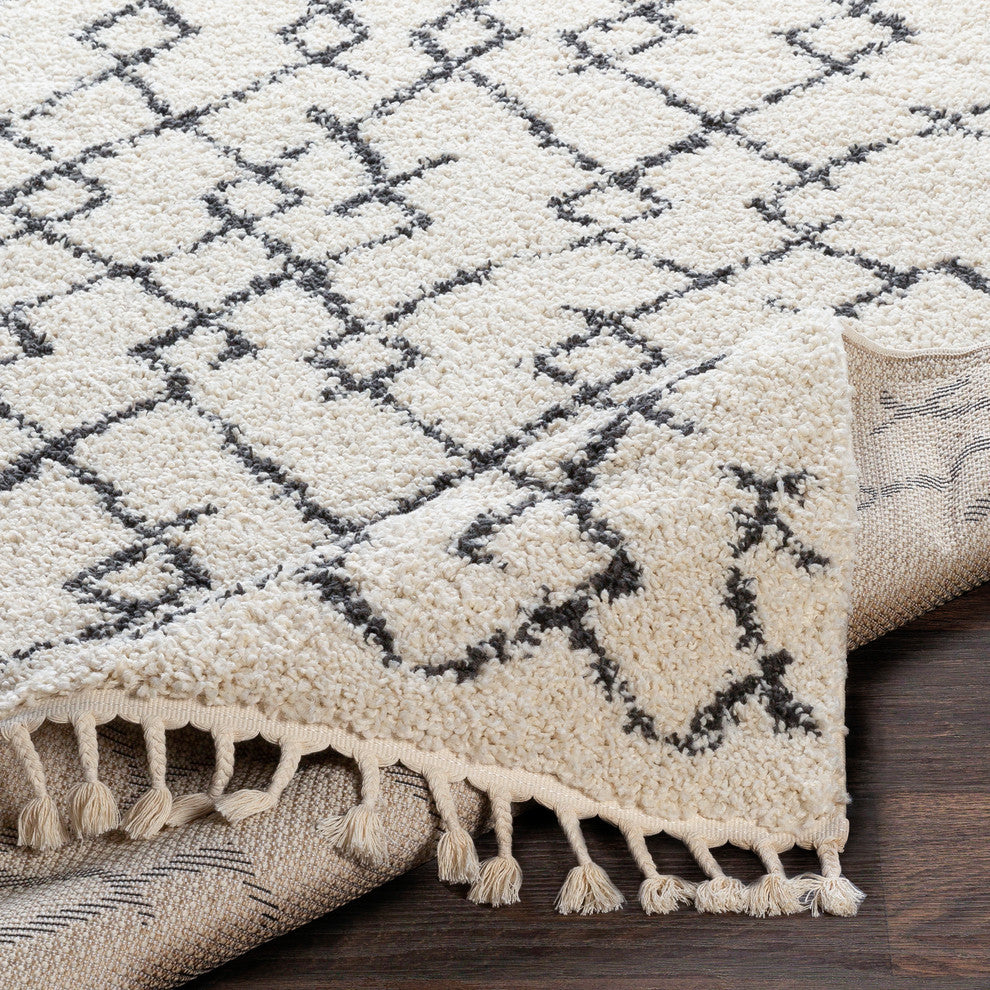 Berber Shag Bohemian Global Charcoal, Beige Area Rug, 2'x3'