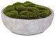 Artificial Fake Moss Arrangement, Round Stone Wash Cement Bowl