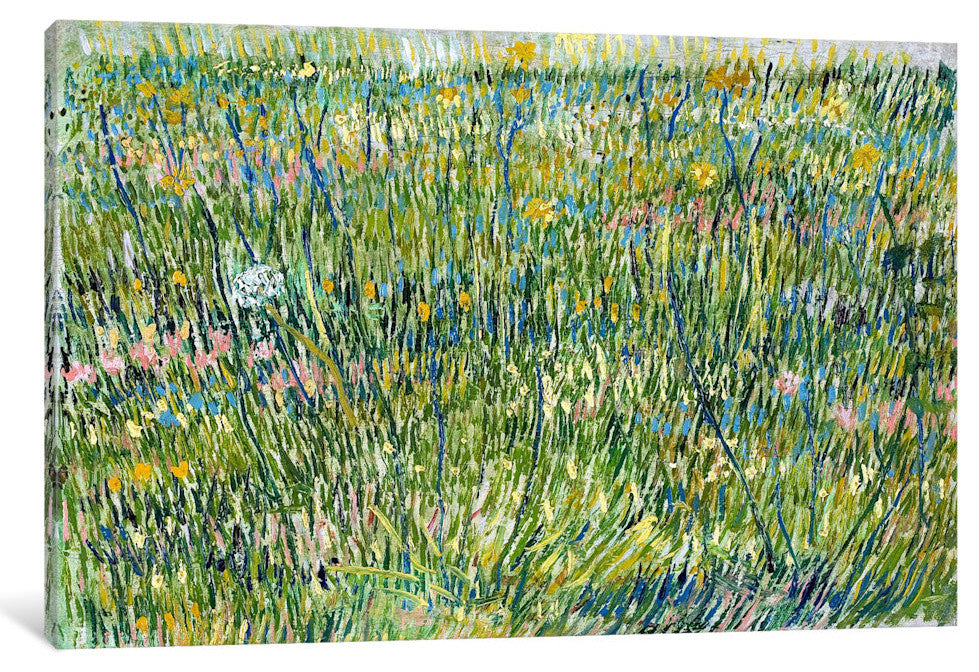 "Patch Of Grass" Wrapped Canvas Art Print, 26x18x1.5