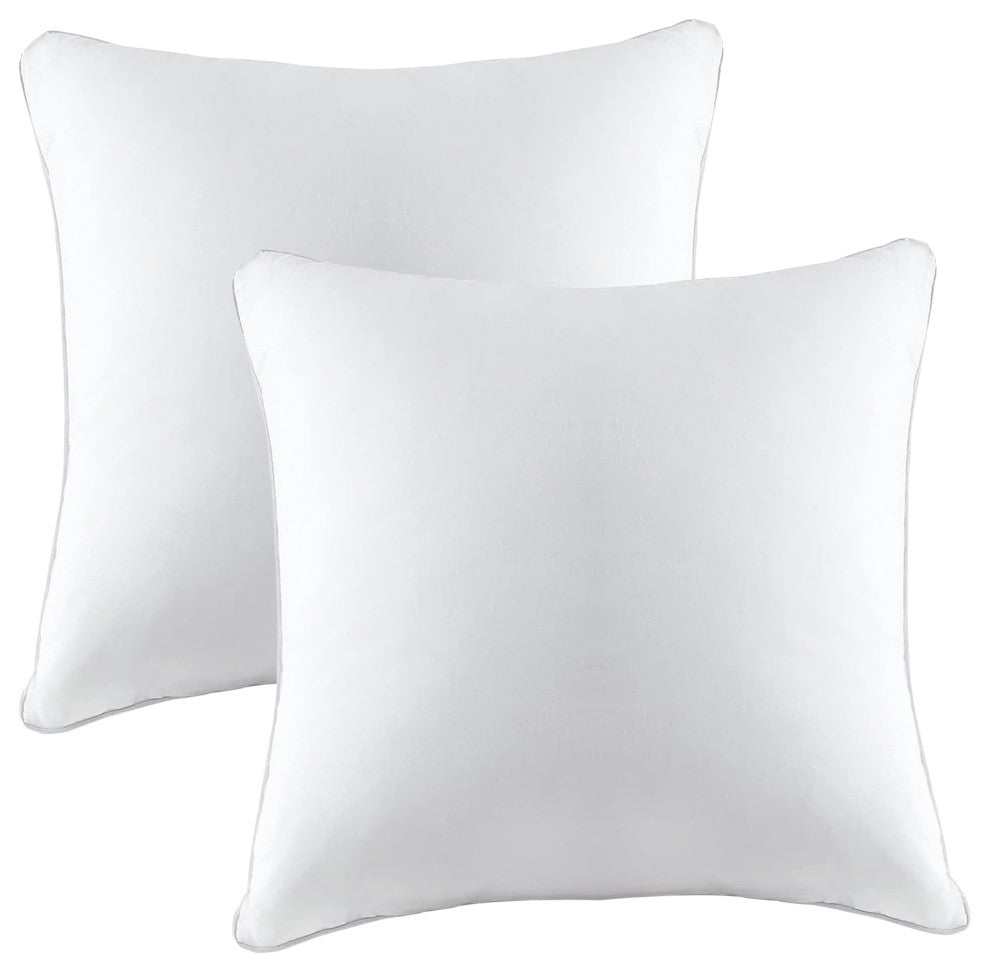 A1HC Throw Pillow Insert, Down Feather Filled, Set of 2, 22"x22"