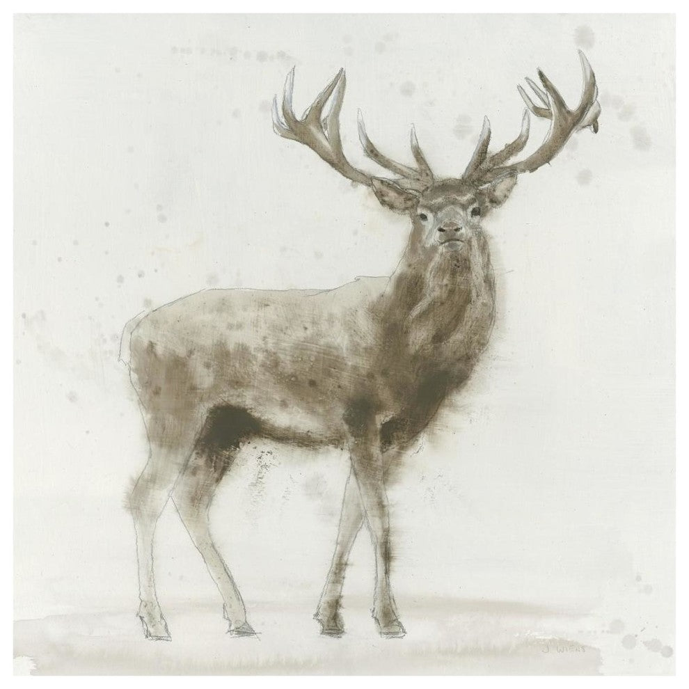 "Stag v.2" Digital Paper Print by James Wiens, 20"x20"